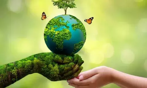 एक पेड़ मां के नाम अभियान में भी शीर्ष पर उत्तर प्रदेश, अब तक 26.5 करोड़ से अधिक पौधरोपण किए गए...