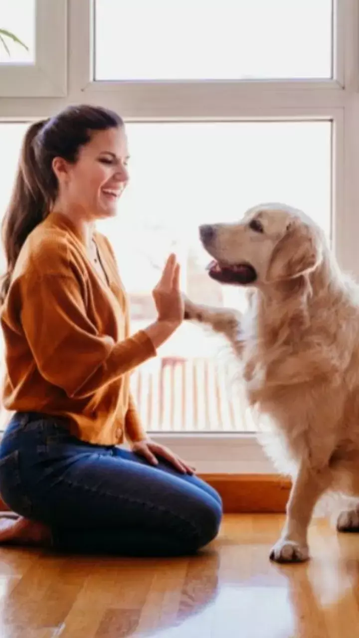 कुत्ता पालने से फायदे या नुकसान, जानें