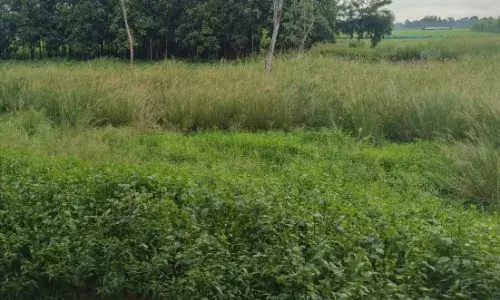 पयागपुर के गांगूदेवर में होगा अत्याधुनिक मिनी स्टेडियम का निर्माण, निखर सकेंगी स्थानीय खेल प्रतिभाएं…