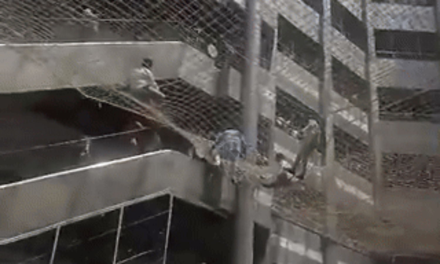 महाराष्ट्र मंत्रालय की तीसरी मंजिल से कूदे NCP अजित पवार गुट के विधायक और डिप्टी स्पीकर