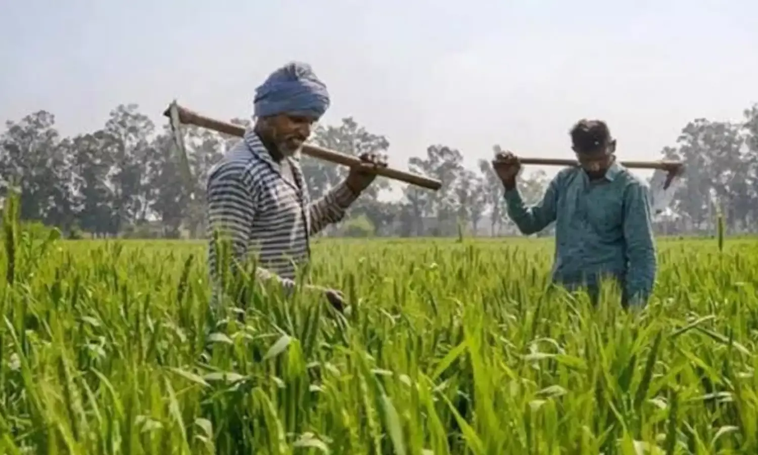 आज पीएम मोदी जारी करेंगे किसान सम्मान निधि की 18वीं किस्त, ऐसे चेक करें लाभार्थी सूची