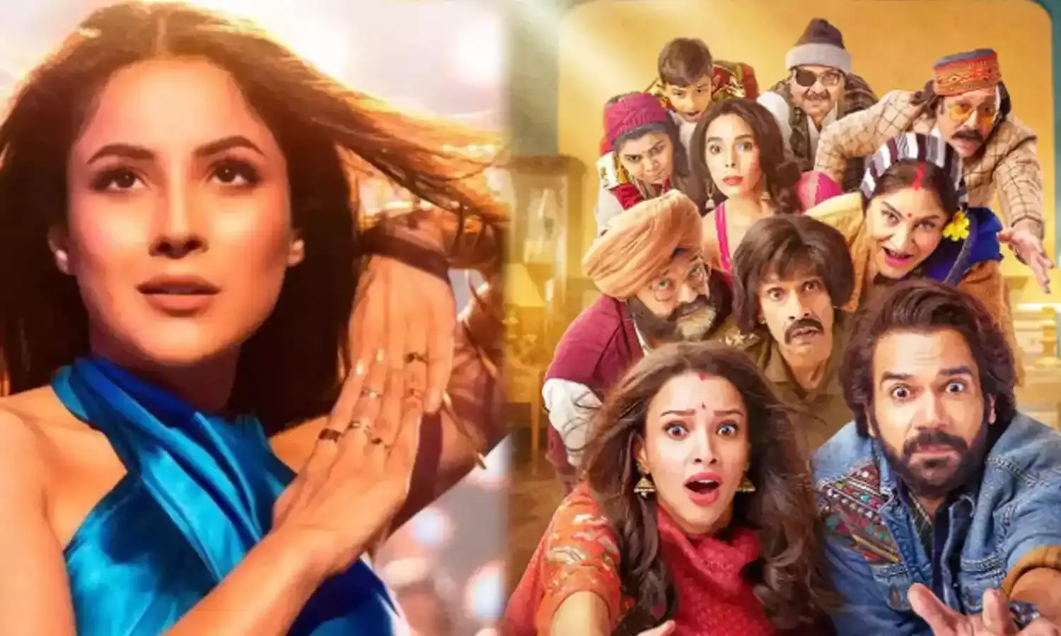 राज शांडिल्य की कहानी में राजकुमार और तृप्ति की एक्टिंग फिर भी फैंस को फिल्म से क्यों हुई निराशा, पढ़िए