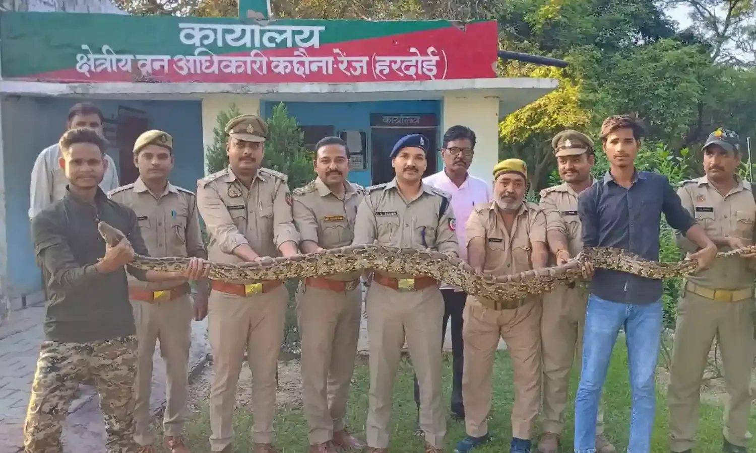 15 और 12 फीट लंबे दो अजगरों का सफल रेस्क्यू, जंगल में छोड़ा गया