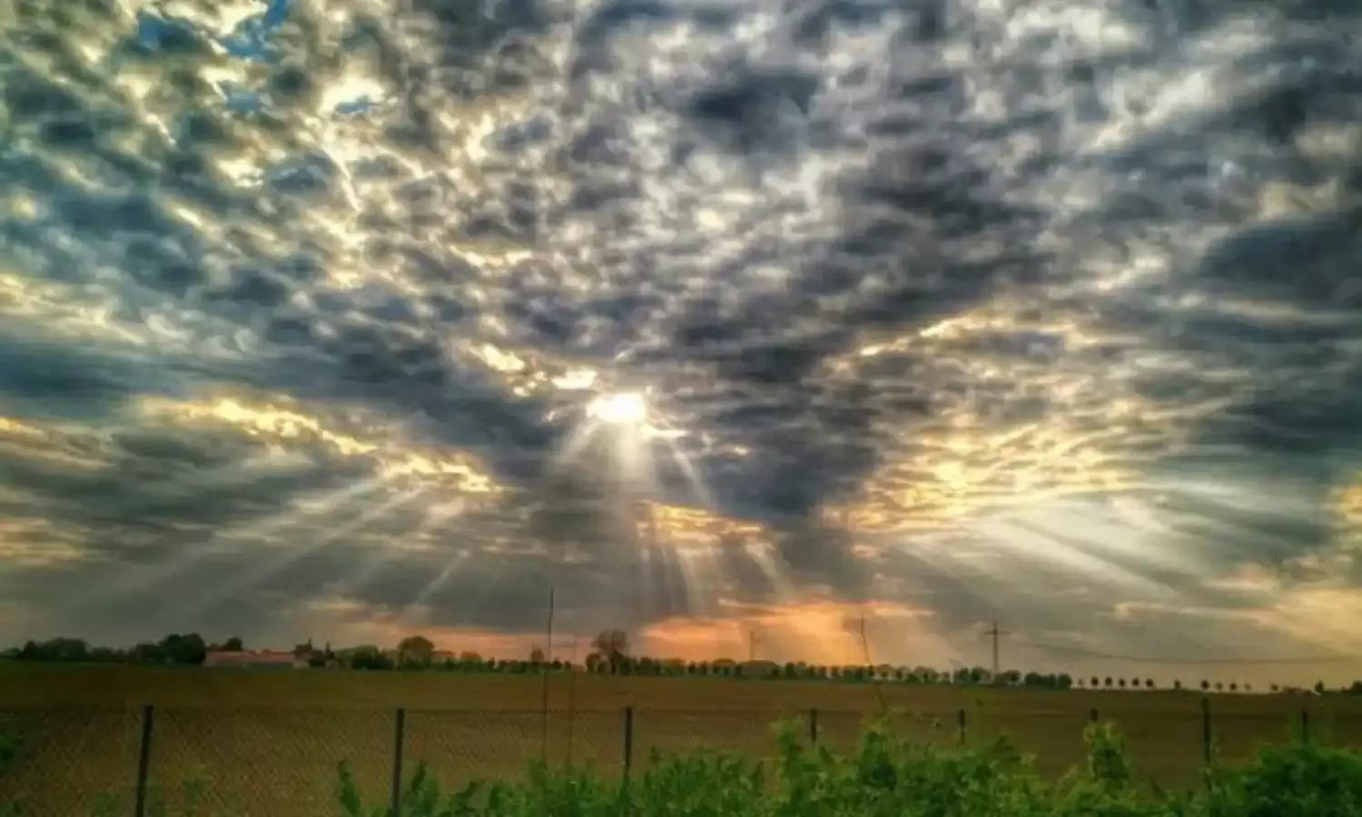 अब बदलेगा मौसम, यूपी - बिहार, दिल्ली समेत इन राज्यों में होगी कड़ाके की ठंड, पढ़े IMD की ताजा अपडेट