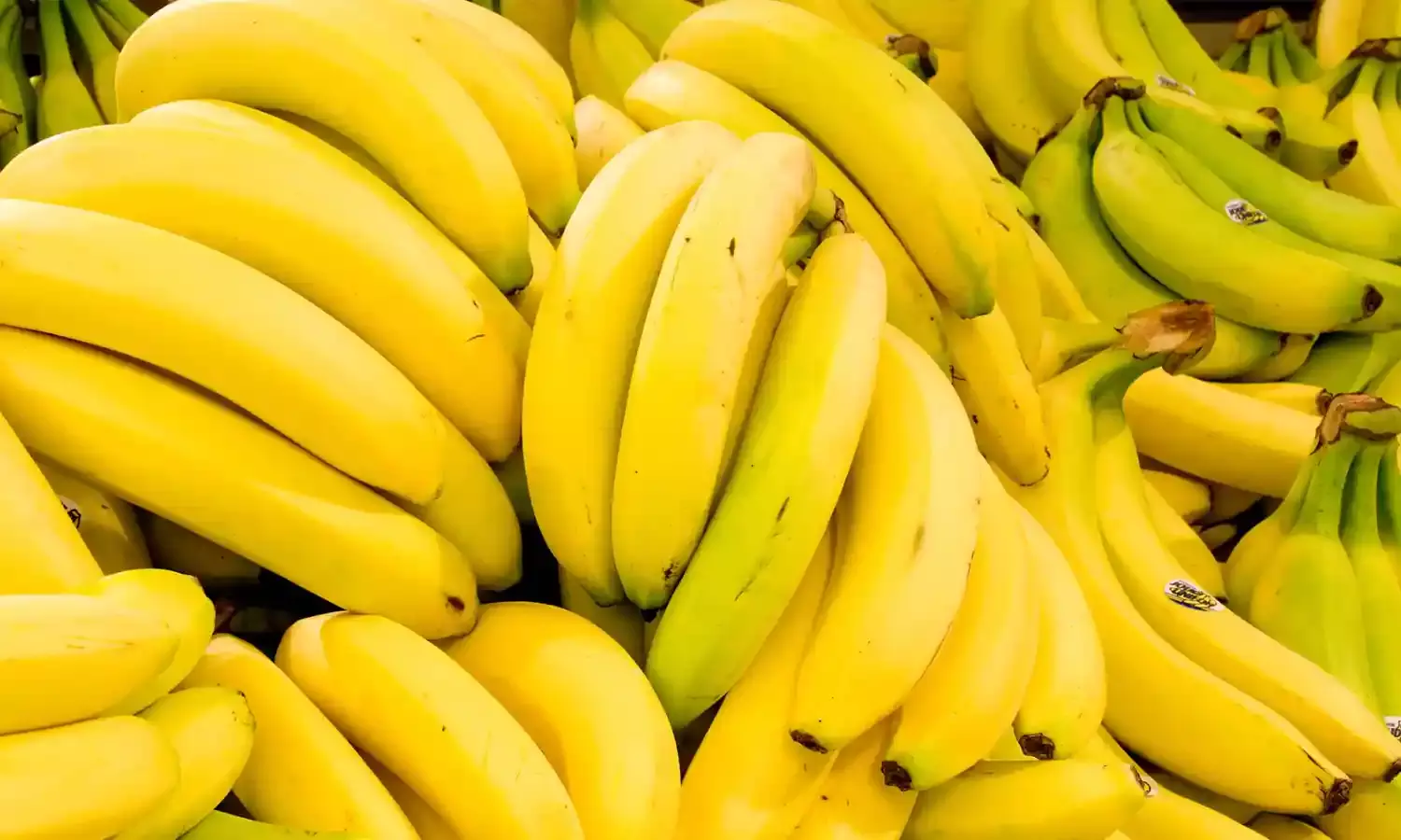 केला बदलेगा उत्तर प्रदेश के किसानों की किस्मत...