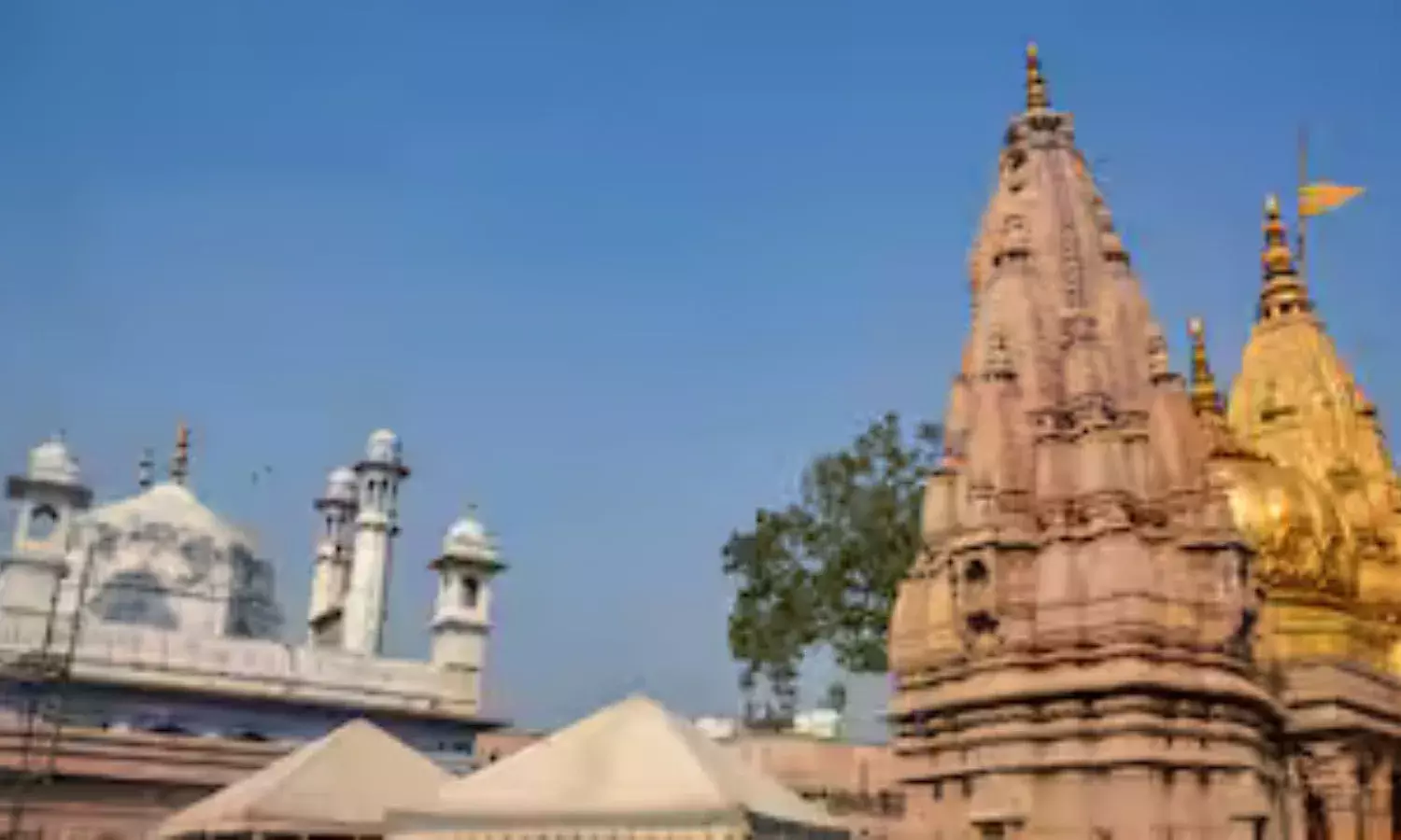 ज्ञानवापी मामले में हिंदू पक्ष को बड़ा झटका, कोर्ट ने ASI सर्वे वाली याचिका पर लगाई रोक