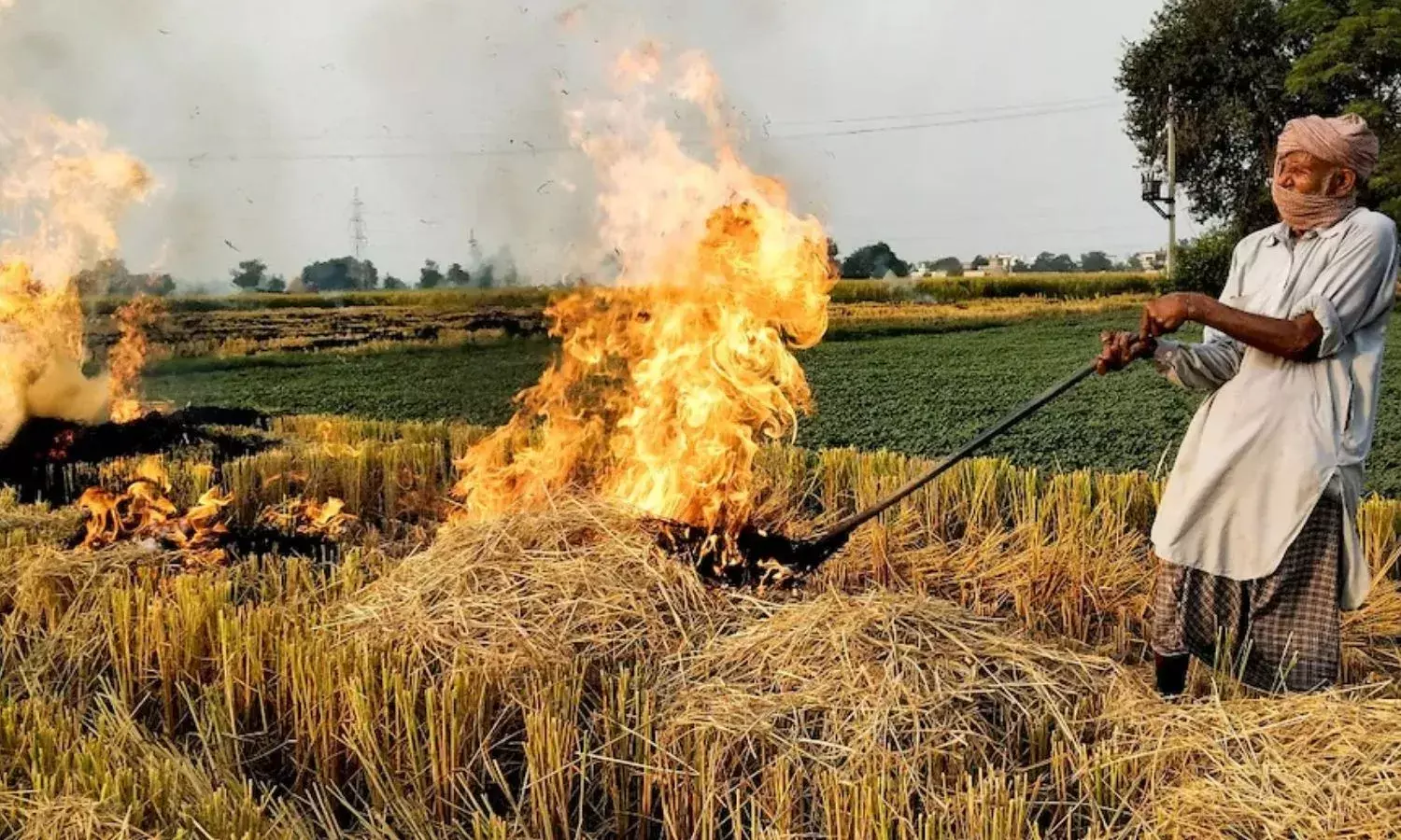 IARI Report on Stubble Burning