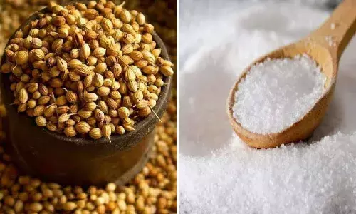 धनतेरस पर सोना-चांदी के अलावा धनिया और नमक खरीदना क्यों मानते हैं शुभ, जानिए इसकी वजह