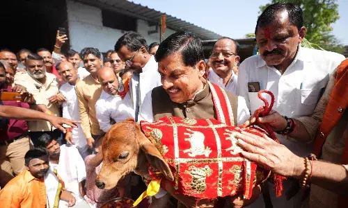 सीएम मोहन यादव का बड़ा ऐलान, क्रेडिट कार्ड सहित गोपालकों को मिलेंगी ये विशेष सुविधाएं