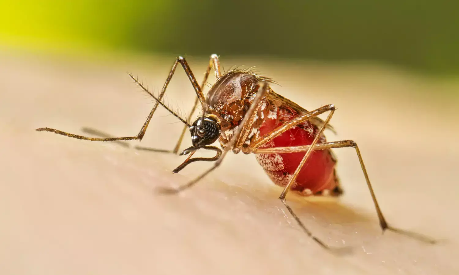 2100 केस ने बढ़ाई चिंता, स्वास्थ्य विभाग अलर्ट…