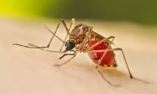 2100 केस ने बढ़ाई चिंता, स्वास्थ्य विभाग अलर्ट…