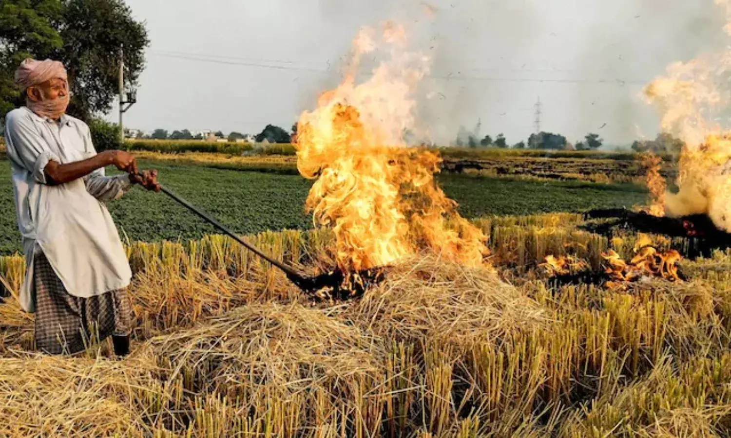 पराली जलाने पर लगेगा दोगुना जुर्माना, सुप्रीम कोर्ट की फटकार के बाद केंद्र ने उठाया कदम