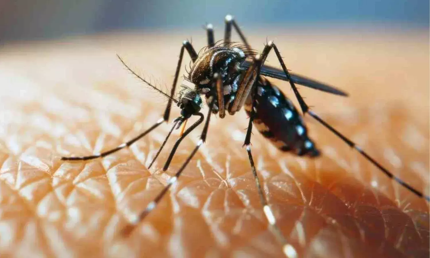 जानलेवा है डेंगू, मल्टीआर्गन फेल्योर से हो रहीं मौत