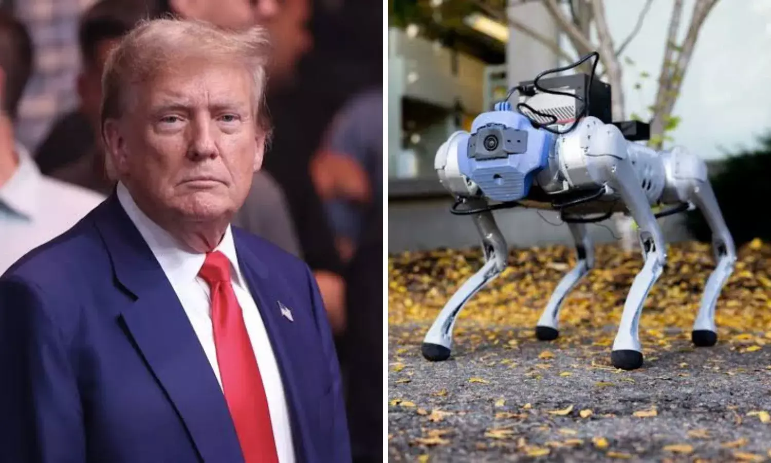 अमेरिका के राष्ट्रपति ट्रंप की हिफाजत करेगा ये ‘रोबोटिक डॉग’, खूबियां जानकर अब रह जाएंगे दंग