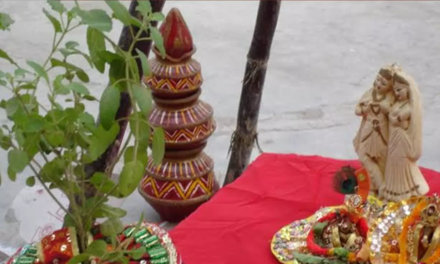 देव उठनी एकादशी में लगाने जा रहें तुलसी, तो जाने उसके पूजन की सही विधि, महत्व और लाभ देव उठनी एकादशी में लगाने जा रहें तुलसी, तो जाने उसके पूजन की सही विधि, महत्व और लाभ