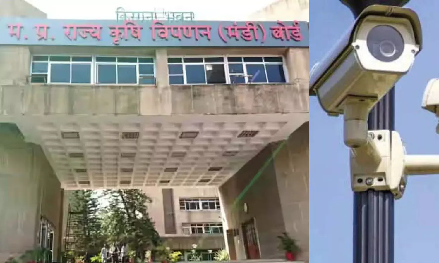 मंडी बोर्ड के गले की फांस बना 74 करोड़ का टेंडर, मंत्री - MD के बीच तीन माह तक दौड़ती रही पुनर्विचार की फाइल