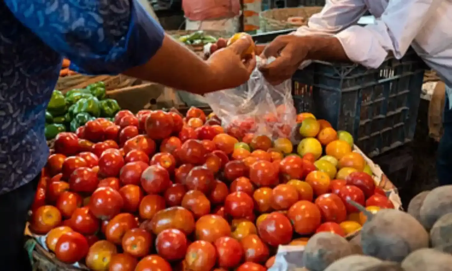 टमाटर के दामों में बड़ा बदलाव, जानिये केंद्र सरकार ने क्या लिया फैसला