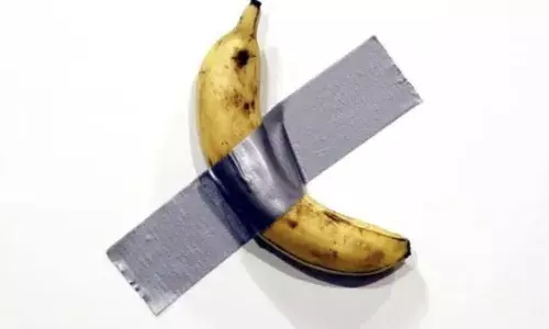 20 नवंबर से पहले लगा लें इस करोड़ों के केले पर दांव, इसकी खासियत जानकर रह जाएंगे दंग