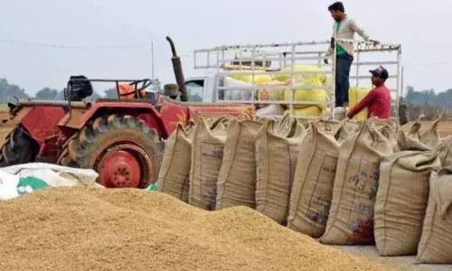 Chhattisgarh Paddy Purchase 2024
