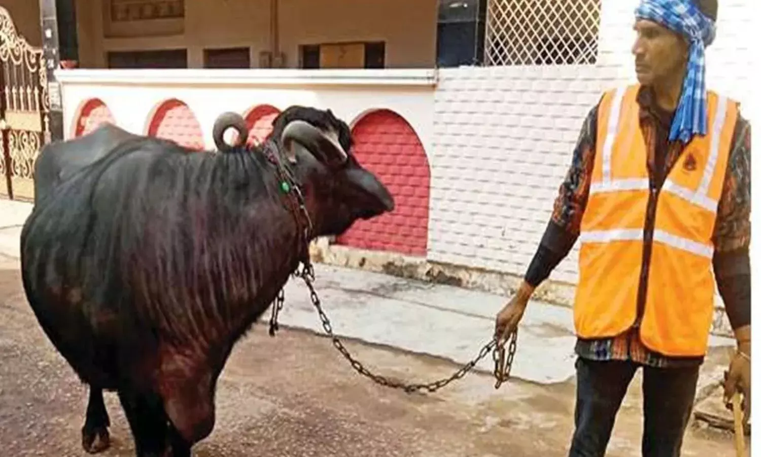 ग्वालियर में गोबर करने पर जुर्माना