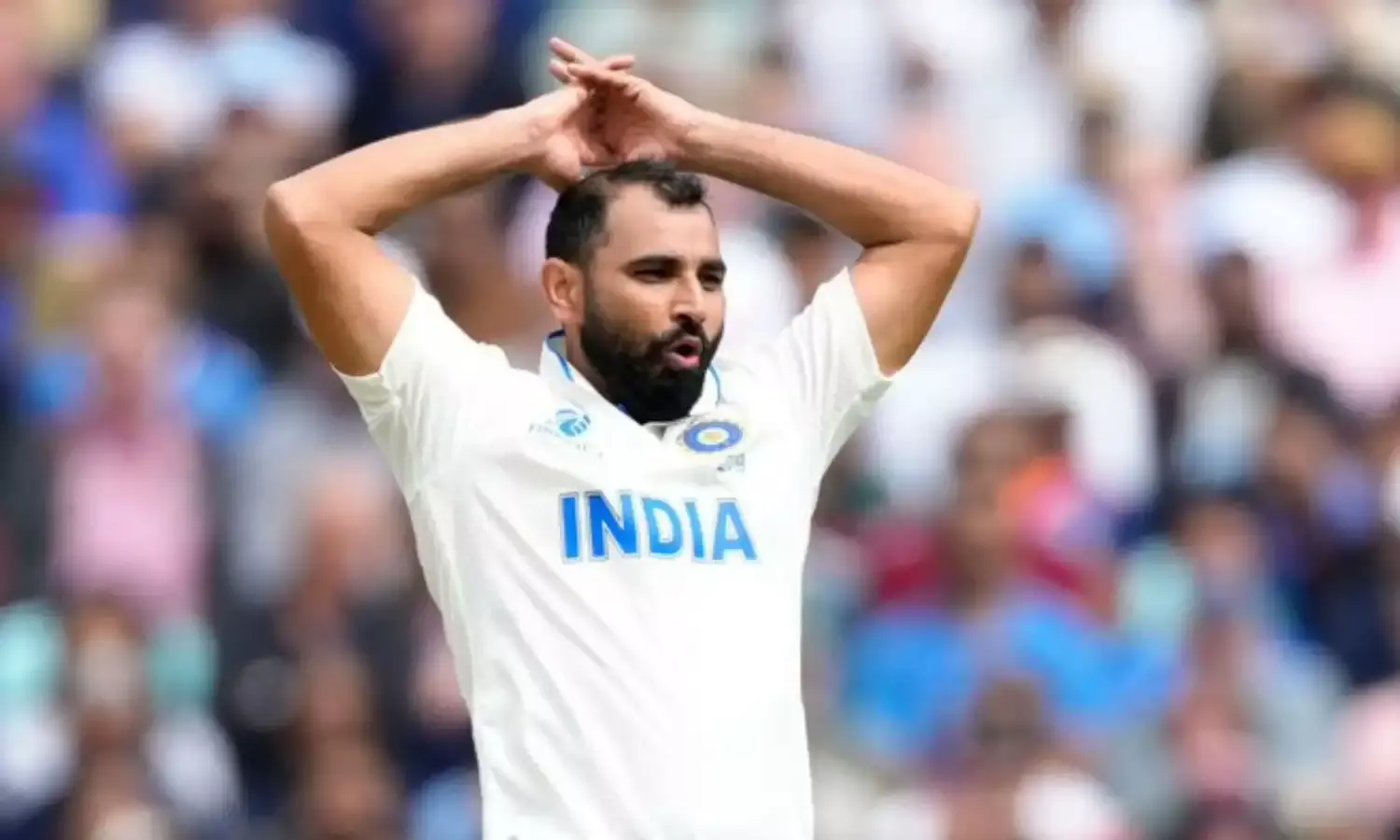ऑस्ट्रेलिया जाने के लिए तैयार हैं शमी? फिटनेस पर एनसीए-बीसीसीआई की नज़र ऑस्ट्रेलिया जाने के लिए तैयार हैं शमी? फिटनेस पर एनसीए-बीसीसीआई की नज़र