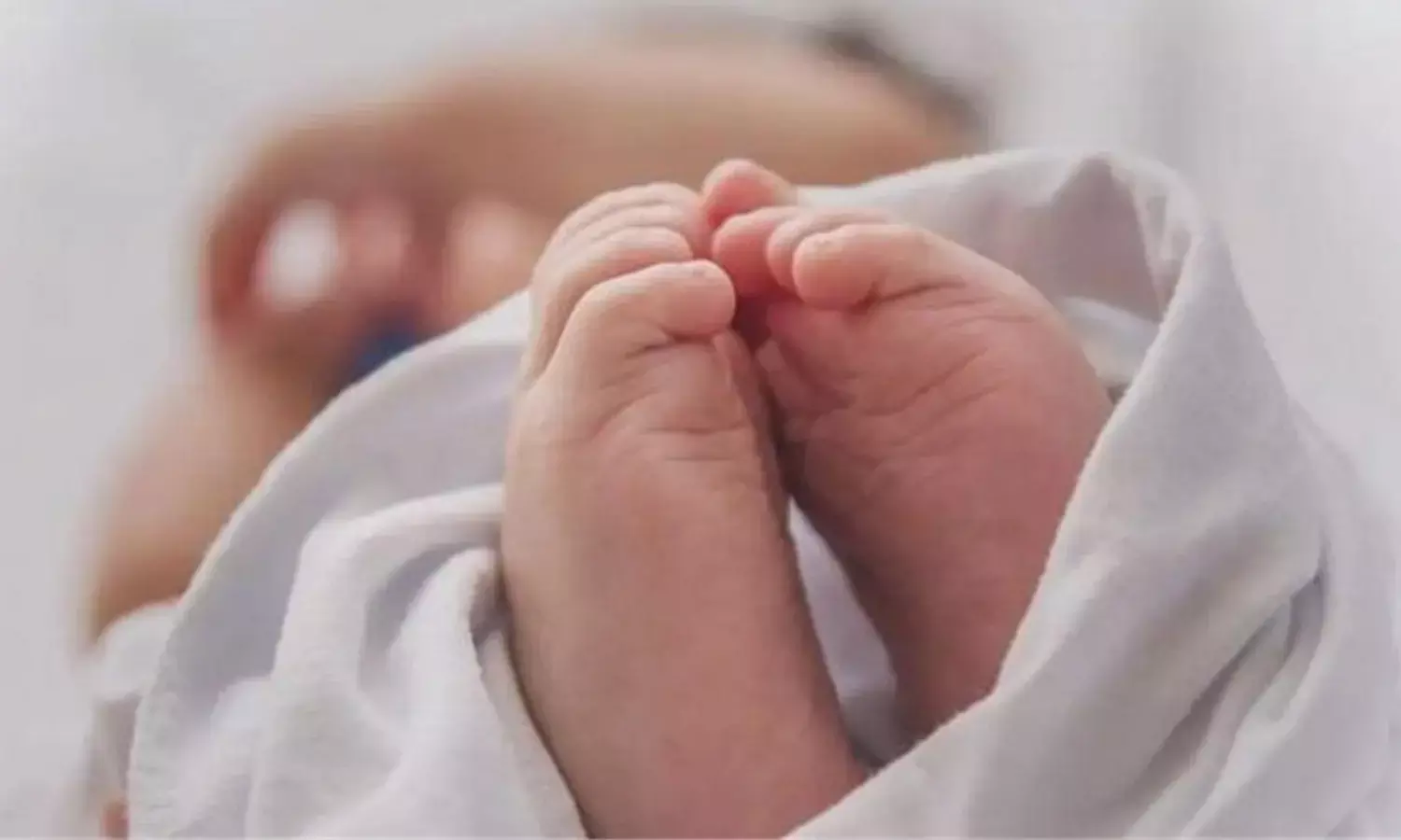 कार्गो में भ्रूण मिलने से फैला सन्नाटा, जांच में जुटी पुलिस…