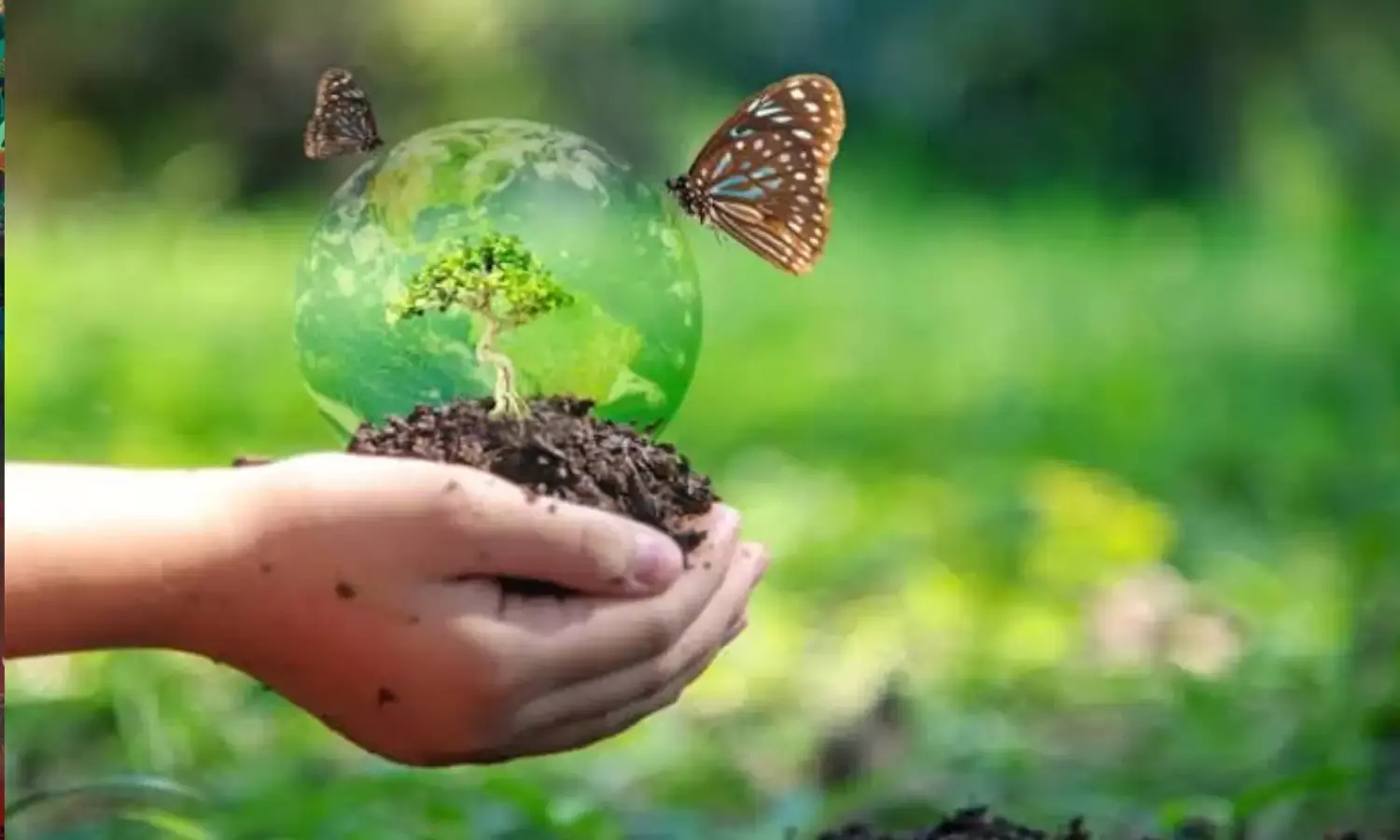 आज के दिन क्यों मनाया जाता है विश्व मृदा दिवस? जानिए इसका इतिहास आज के दिन क्यों मनाया जाता है विश्व मृदा दिवस? जानिए इसका इतिहास