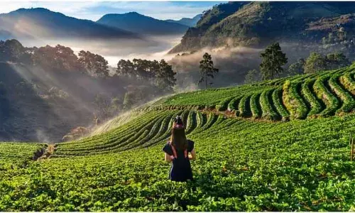 इंस्टाग्राम की दुनिया में छाए रही ये जगहें, लोगों ने जमकर शेयर किए पर्यटन स्थलों की रील्स