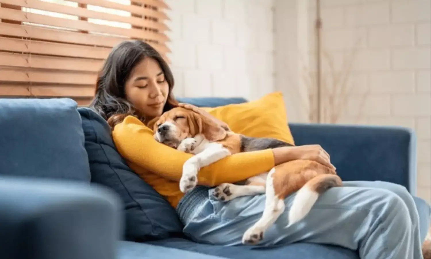 सर्दियों में पालतू जानवरों की कैसे करें देखभाल, जरा सी भी लापरवाही बना सकती है बड़ी बीमारी