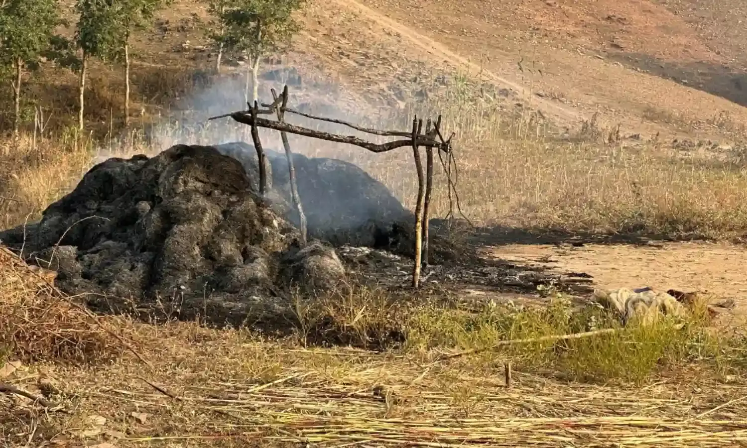 झोपड़ी में आग लगने से दो मासूम बच्चों की मौत, पिता को खेत में देने गये थे खाना… झोपड़ी में आग लगने से दो मासूम बच्चों की मौत, पिता को खेत में देने गये थे खाना…