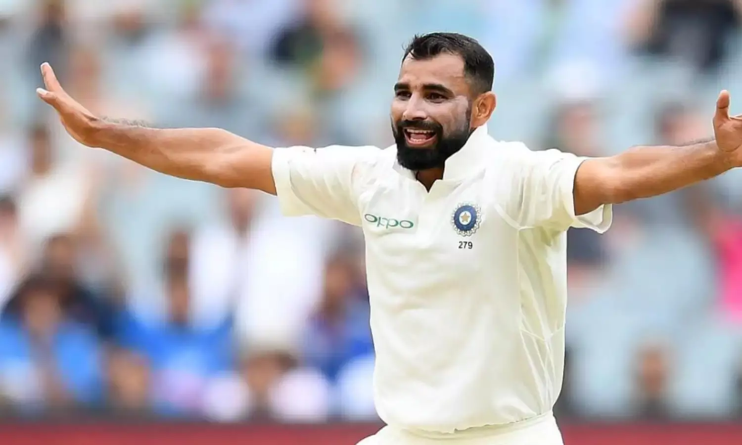 Shamis all-round performance