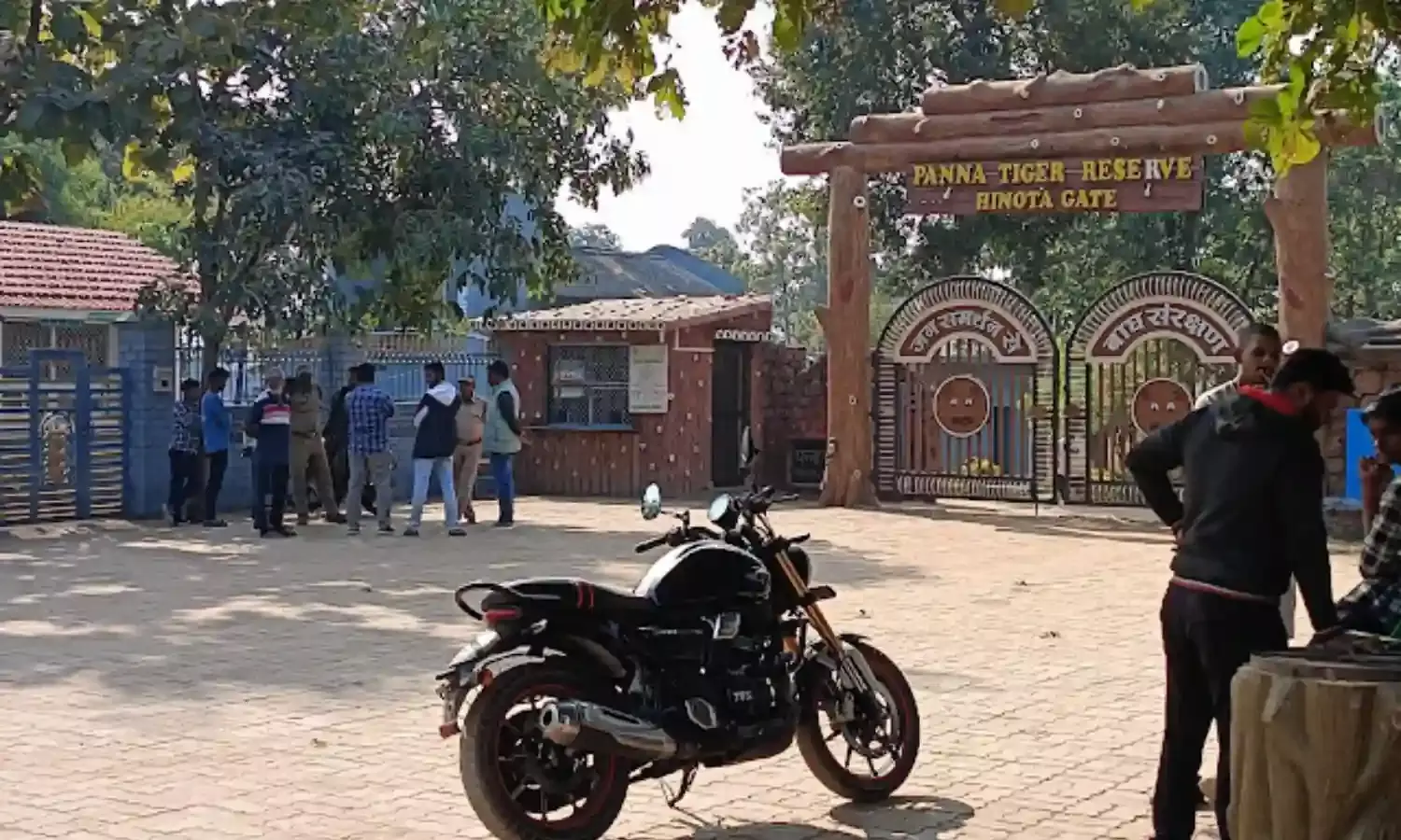 3 बाघों ने घास काटने गयी महिला पर किया हमला, मौत के बाद क्षेत्र में दहशत,  घटना को लेकर पार्क प्रबंधन सकते में…