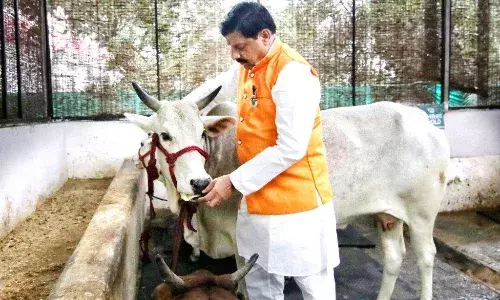 गौशालाओं में सुधार, आहार राशि वृद्धि और दुग्ध उत्पादन के ऐतिहासिक कदम…