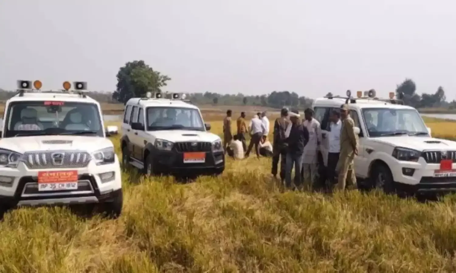 वन अधिकारी भी करेंगे लग्जरी गाड़ियों की सवारी, विभाग ने 51 मैदानी अधिकारियों को दिए नए वाहन…