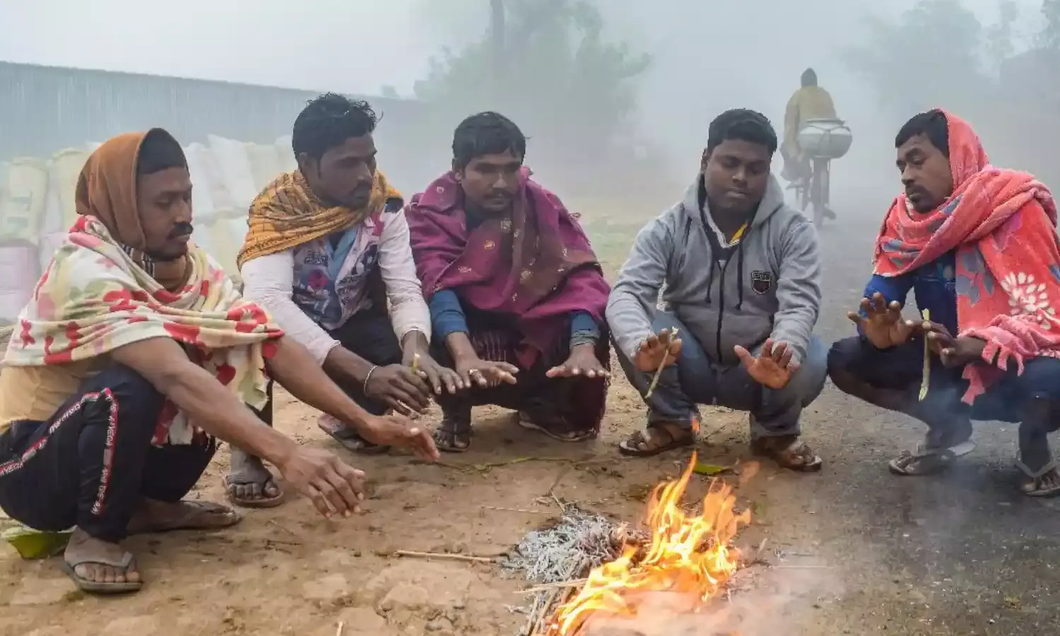 सावधान कोल्ड वेव के चपेट में उत्तर भारत, मौसम विभाग ने इन राज्यों के लिए जारी किया अलर्ट