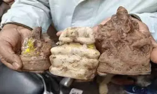 संभल में 46 साल बाद खुले मंदिर के कुएं में निकले श्रीगणेश, माता लक्ष्मी और कार्तिकेय की मूर्तियां…