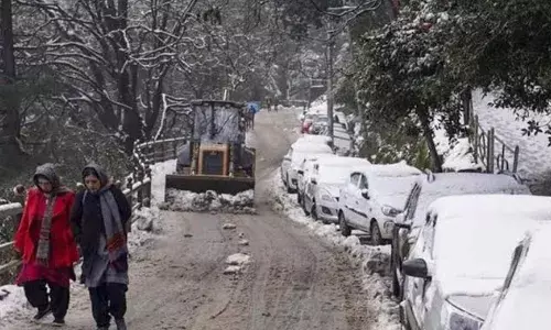 उत्तर भारत में अब पाले के चपेट में आएंगी फसलें, कश्मीर में बर्फबारी जारी