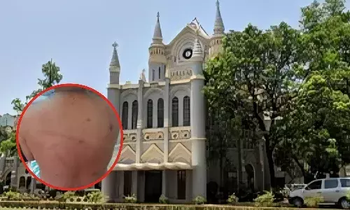 जबलपुर में गेस्ट फैकल्टी से मारपीट मामले में शिक्षा विभाग को नोटिस, हाई कोर्ट ने मांगा जवाब