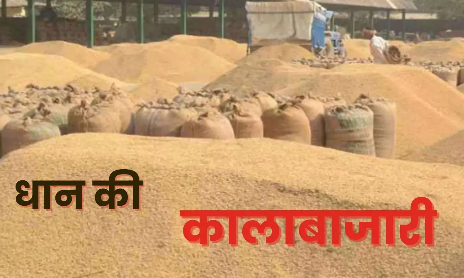 छत्तीसगढ़ में धान की कालाबाजारी, बिलासपुर में अवैध भंडारण का हुआ भंडाफोड़