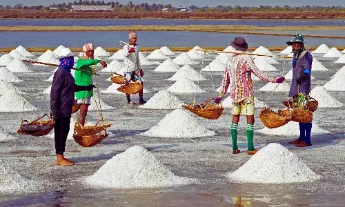 जीवन और भोजन में नमक..समझिये सस्ते और महंगे का गणित