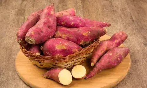 सर्दियों में शरीर को गर्म रखता है शकरकंद, जानिए इसके सेवन के फायदे