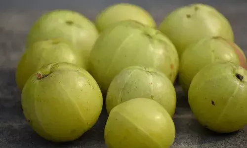 बिल्कुल न करें ये लोग आंवले का सेवन, पड़ सकता है गलत असर
