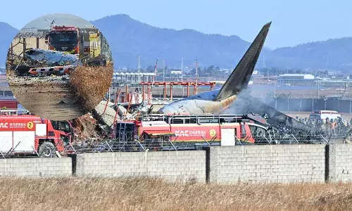 दक्षिण कोरिया विमान दुर्घटना