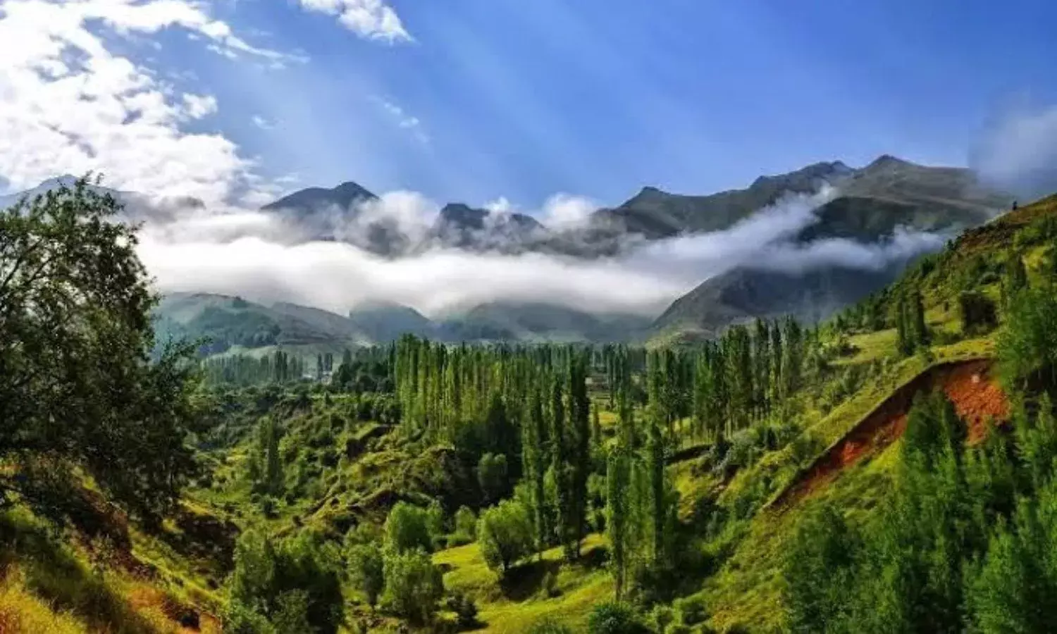 नए साल पर इन हिल स्टेशन पर घूमने का बनाएं प्लान, सैर में आएगा मज़ा नए साल पर इन हिल स्टेशन पर घूमने का बनाएं प्लान, सैर में आएगा मज़ा