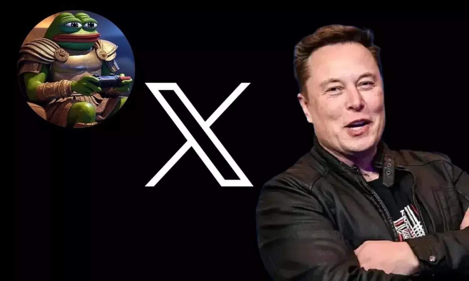 नए साल से पहले एलन मस्क ने ट्विटर पर लगाई मेढ़क की फोटो, जानें क्या रखा नया नाम
