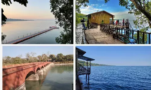 बाघों की दहाड़, गोमती आरती और शारदा सागर की अद्भुत सुंदरता, नए साल की परफेक्ट डेस्टिनेशन…