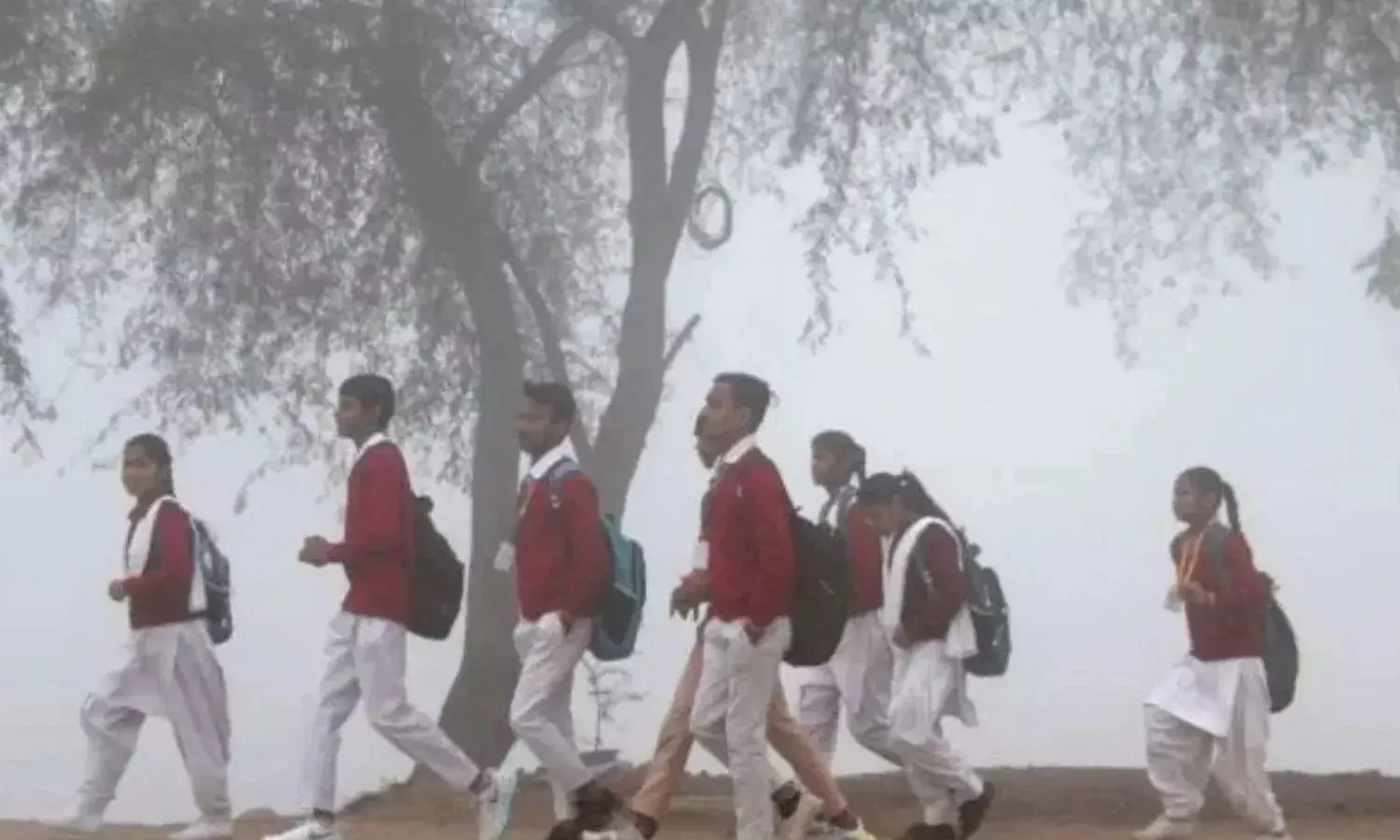 नोएडा में 8वीं तक के सभी बोर्ड के स्कूल किये गए बंद, भीषण ठंड की वजह से डीएम का आया आदेश