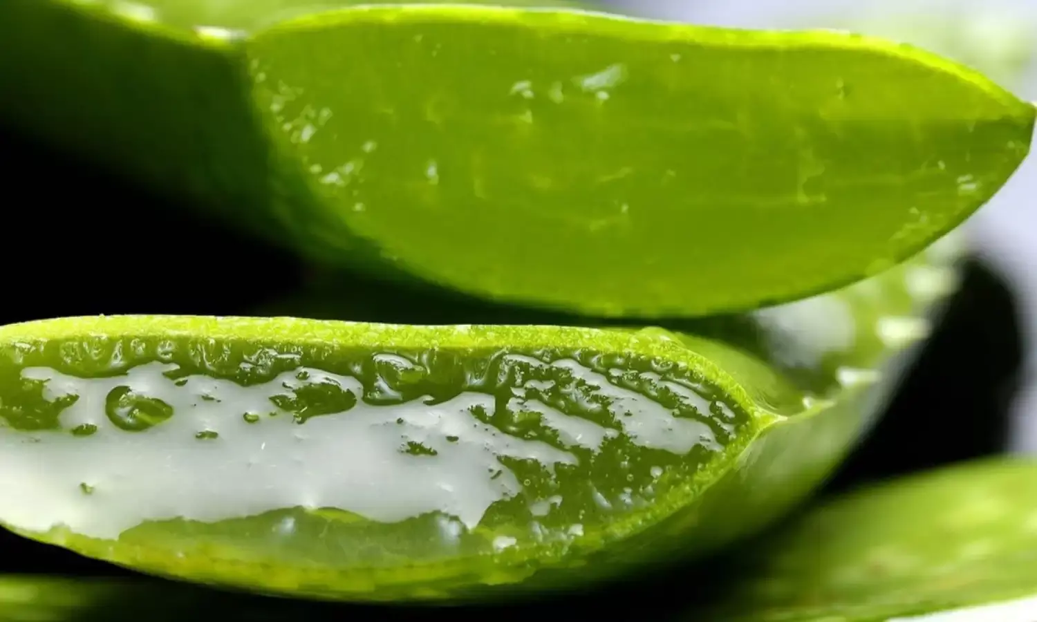 चेहरे पर डायरेक्ट एलोवेरा लगाने से हो सकती है 4 बड़ी परेशानी, जानें डिटेल्स
