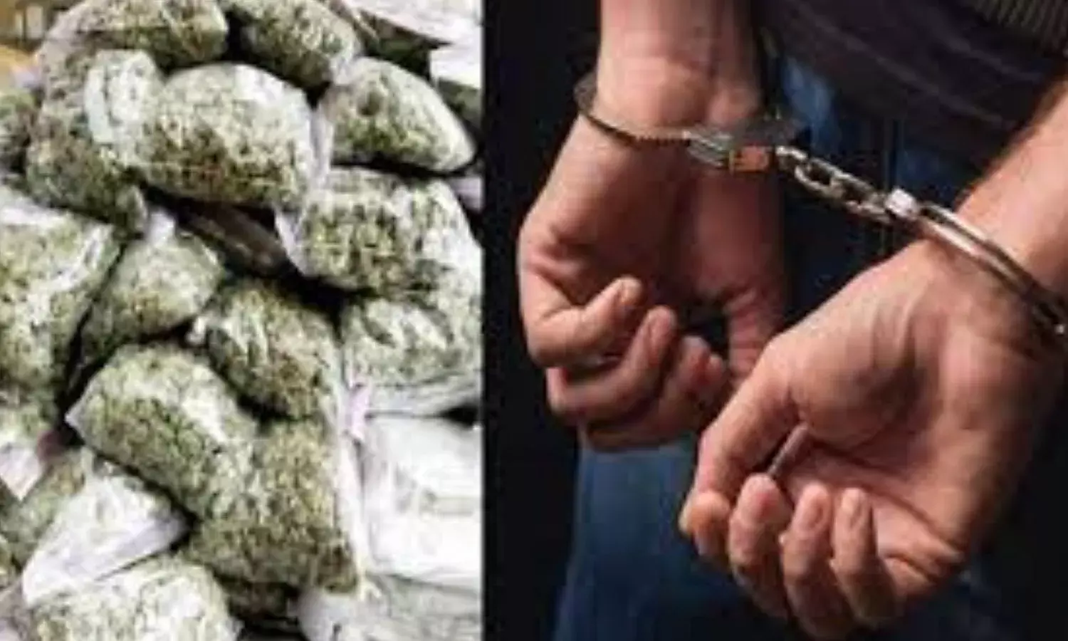 भोपाल में फुल्की का ठेला लगाने वाला बेचता था गांजा, एक्टिवा की डिग्गी से तीन पैकेट बरामद