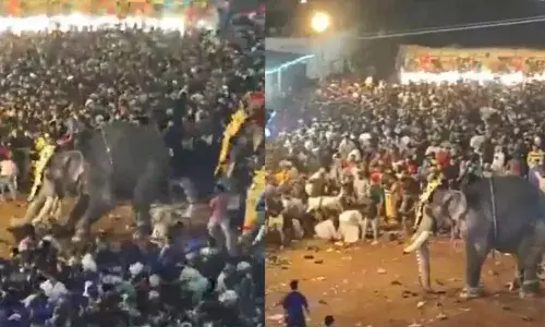 मेले में भीड़ देखकर भड़के हाथी ने मचाया कोहराम, 17 लोग घायल, घटना का वीडियो वायरल...